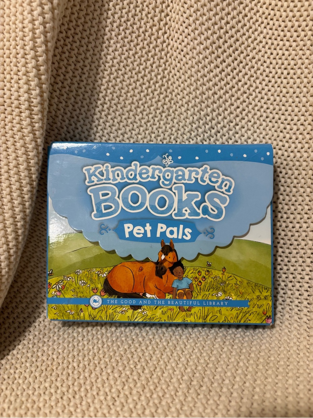 Kindergarten Books Pet Pals - Blue